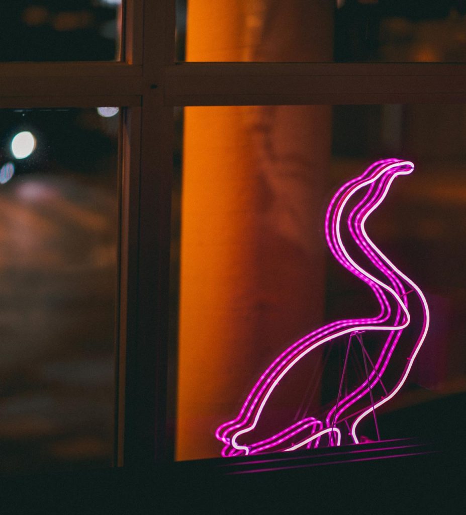 Fotografie Werbeagentur Jack Coleman Graz