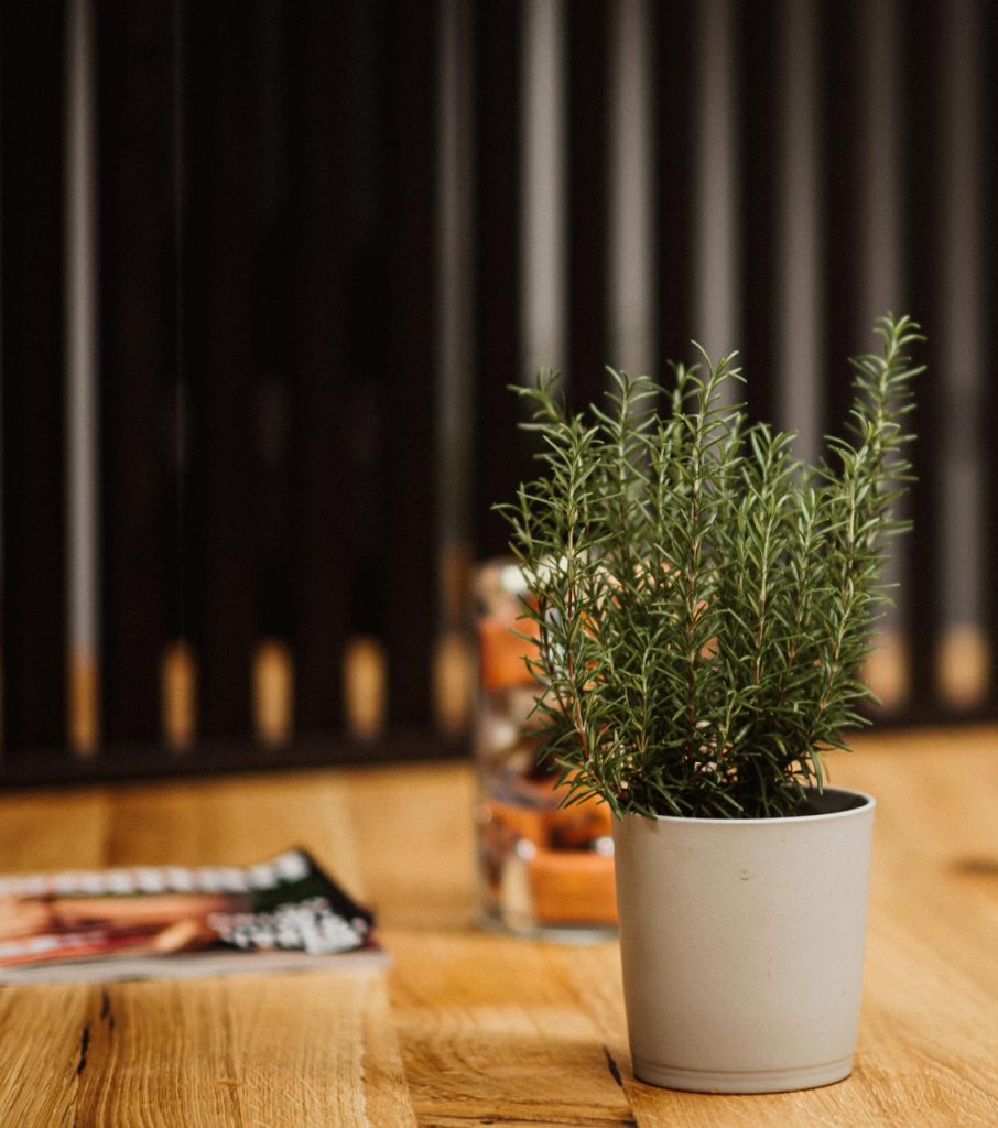 Fotografie Werbeagentur Jack Coleman Graz Kontakt