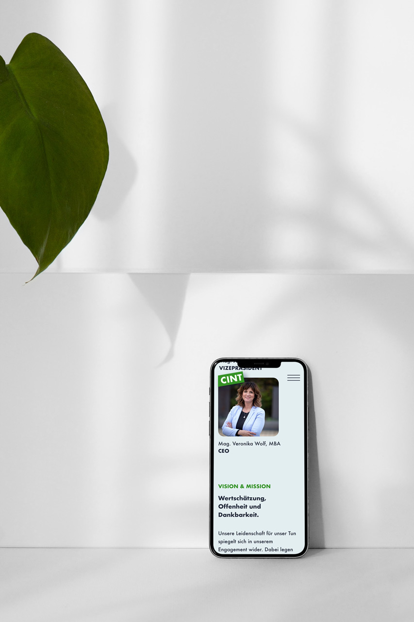 CINT Web Design Jack Coleman Graz